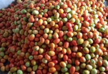 Young Agriculturist encourages Liberians to invest in the soil