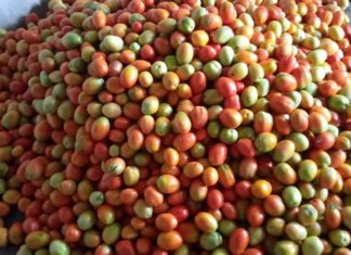 Young Agriculturist encourages Liberians to invest in the soil