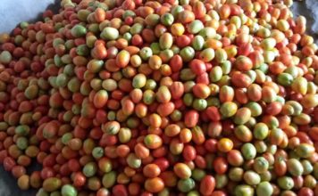 Young Agriculturist encourages Liberians to invest in the soil