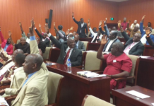 Liberia’s house of Representatives passes Dual Citizenship Bill