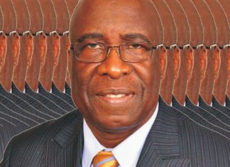 Dr. Henrique Tokpa suggests agriculture for restoring Liberia’s declining economy