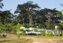 Research scientists Go-slow at CARI