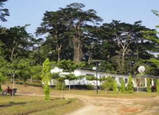 Research scientists Go-slow at CARI