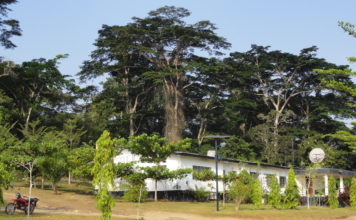 Corruption allegation hangs over CARI administration