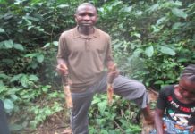 Infamous Elephant Killer Gets One Year Sentence
