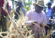 Deputy Speaker Moye warns Bong Citizens against voting ‘mutilated’ character in  2020  Senatorial race