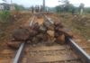 Dismissed Acelor Mittal workers block railway again in Nimba