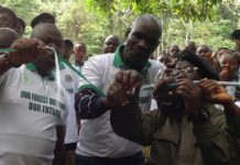 Liberia Risks Losing US$1M for Forest Conservation if…