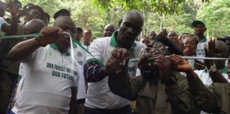 Liberia Risks Losing US$1M for Forest Conservation if…