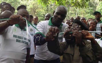 Liberia Risks Losing US$1M for Forest Conservation if…