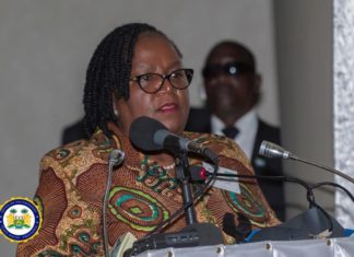 MRU, UNDP Vow to Foster Deeper Regional Cooperation