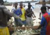 Liberian Fishmongers to smile again, partners provide fishing equipment
