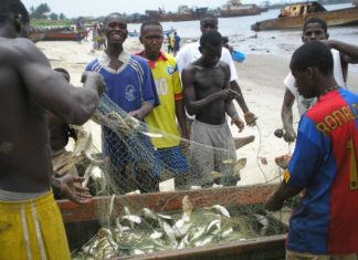 NaFAA announces price reduction in fish products