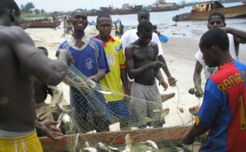 NaFAA announces price reduction in fish products