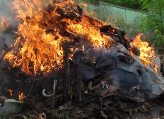 Liberia: FDA burns huge quantity of bushmeat