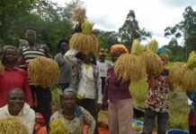 USAID Funded WABICC Project impacts Behavior Change around Gola Forest