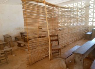 Overcrowding hampers smooth learning in Nimba, says Principal Alison Kphan