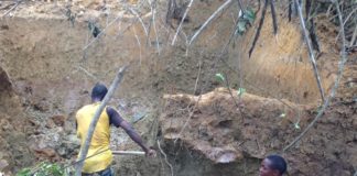 Two  illegal miners reportedly killed by mudslide at Chinese mine in Grand Cape Mount County