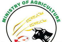 World Bank approves US$ 10 million for Liberia’s COVID-19 Food Security Plan and MoA’s Situation Report