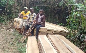 Nimba Disabled Community seeks for business partnership and empowerment
