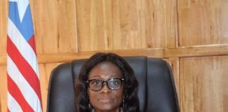 NEC Launches 2017 Voter Roll Review Process