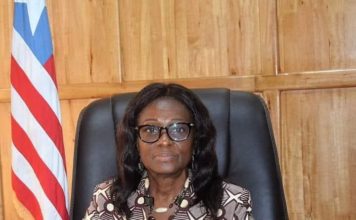 NEC Launches 2017 Voter Roll Review Process