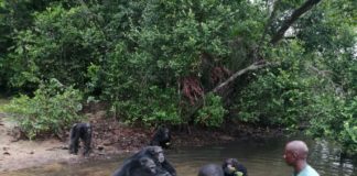 Humane Society International Seeks more  Protection For wildlife In Liberia