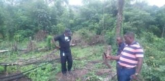 Ritualistic or traditional norm; Pregnant woman’s death remain secret in Gbarpolu County?