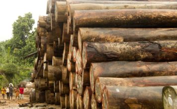 Liberia: Sewacajua Community to terminate Mandra’s Logging Company Operations
