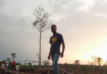 Liberia: Forestry Reporters, CSOs Use Mobile App in Tracking Illegalities