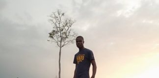 Liberia: Forestry Reporters, CSOs Use Mobile App in Tracking Illegalities