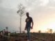 Liberia: Forestry Reporters, CSOs Use Mobile App in Tracking Illegalities