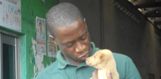 HSI says Treat Domestic Animals Well