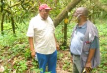 VADEMCO and Atlantic Cocoa cement market linkage for Liberian cocoa farmers