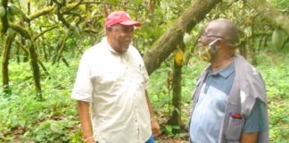 VADEMCO and Atlantic Cocoa cement market linkage for Liberian cocoa farmers