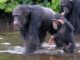 Liberia Celebrates World Wildlife Day on March 3
