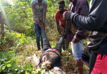 Fatal motor accident kills 3 in Buchanan-Monrovia highway on their way from Grand Kru County