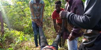 Fatal motor accident kills 3 in Buchanan-Monrovia highway on their way from Grand Kru County