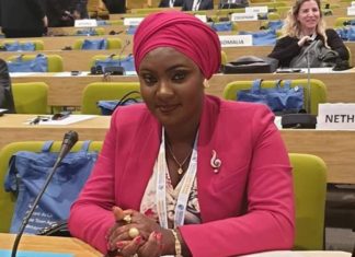 NaFAA Boss stresses more women participation in the Liberian media