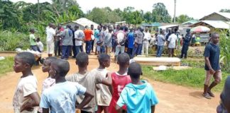 Redundant workers stall Acelor Mittal’s operation in Nimba