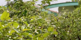 For failing to hold county sitting, several health facilities abandoned in Grand Cape mount