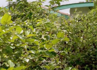 For failing to hold county sitting, several health facilities abandoned in Grand Cape mount