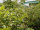 For failing to hold county sitting, several health facilities abandoned in Grand Cape mount