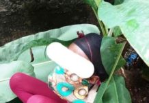 Teenage girl discovered tied at Sen. Yallah’s political office in Bong