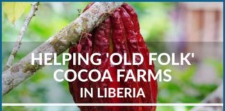 VADEMCO’S STORY: HELPING OLD-FOLK FARMERS