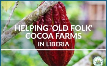 VADEMCO’S STORY: HELPING OLD-FOLK FARMERS