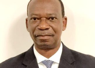 Unity Party Diaspora branch calls for free, fair and transparent on election Dec. 8