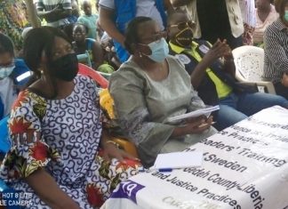 Liberia: UNHCR Regional Director assesses humanitarian situation in two south eastern counties Near Côte d’Ivoire