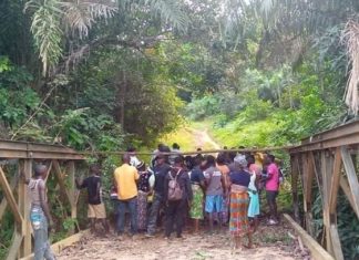 Concerned Liberian dismisses reported intimidation of independent Senatorial Candidate Botoe Kanneh in Gbarpolu