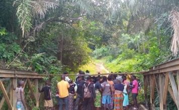 Concerned Liberian dismisses reported intimidation of independent Senatorial Candidate Botoe Kanneh in Gbarpolu